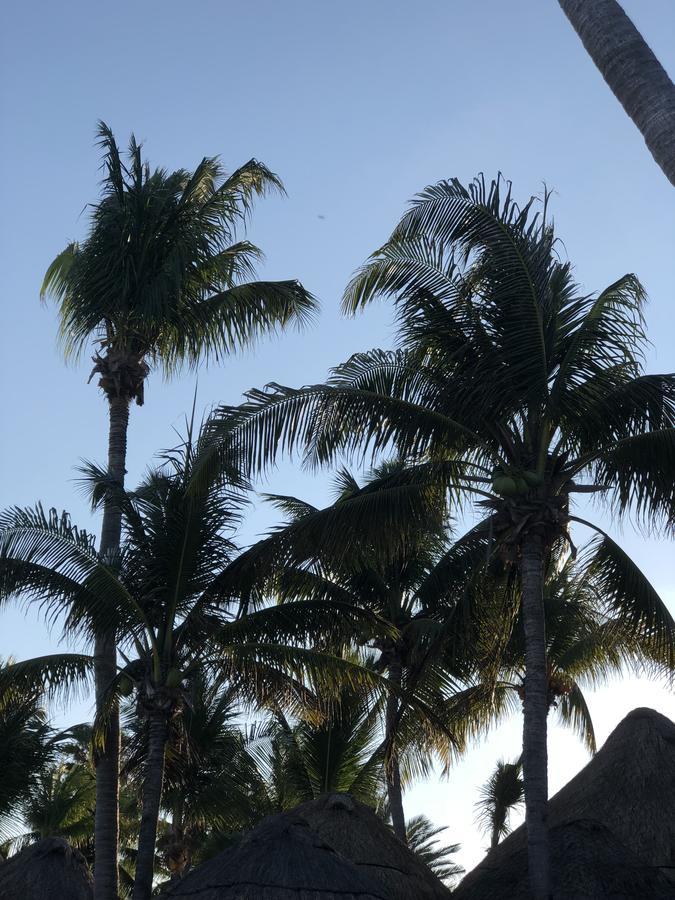 Condo Mar Arena Playa del Carmen Dış mekan fotoğraf